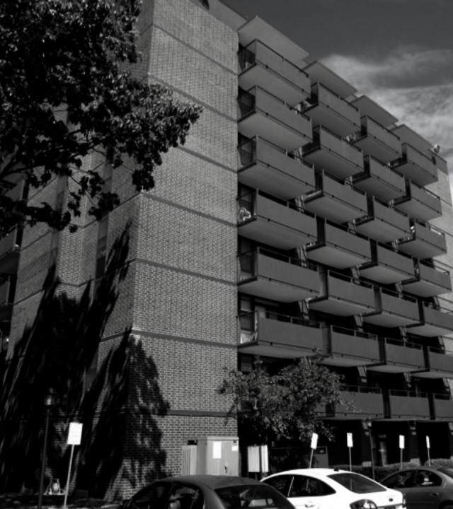 UP Website Square Sized Images (1)